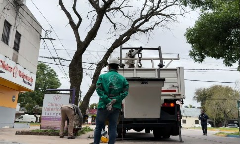 2326867-el-municipio-respondio-una-demanda-vecinal-y-podo-un-arbol-en-mal-estado-en-la-esquin6904b72db0228